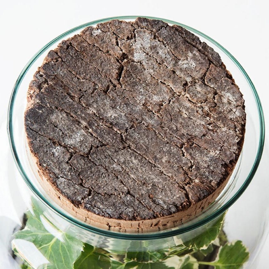 Bouchon pour terrarium Praslin