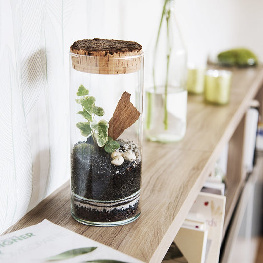 Atelier de création de petit terrarium