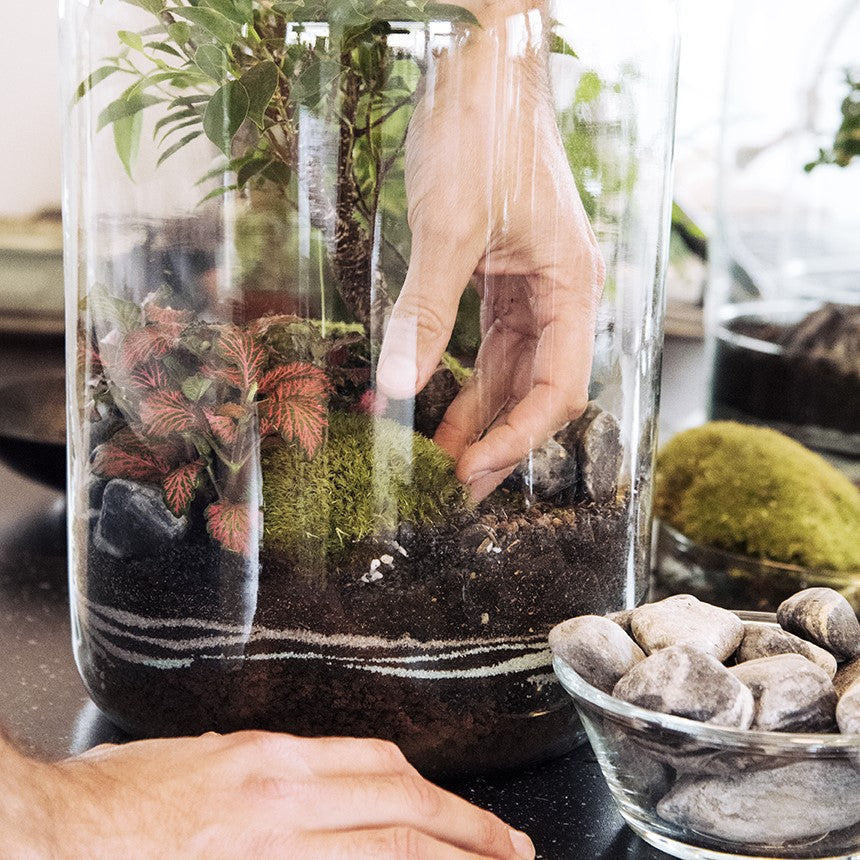Atelier de création de petit terrarium